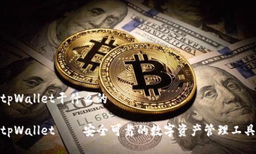 tpWallet干什么的

tpWallet——安全可靠的数字资产管理工具