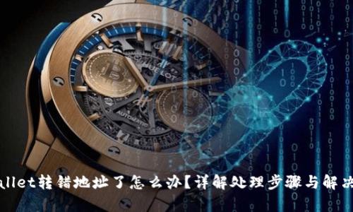 tpWallet转错地址了怎么办？详解处理步骤与解决方案