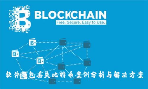 软件钱包丢失比特币案例分析与解决方案