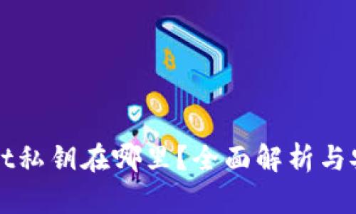 tpWallet私钥在哪里？全面解析与安全指南