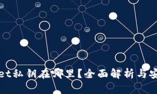tpWallet私钥在哪里？全面解析与安全指南