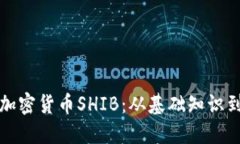 深入探讨加密货币SHIB：从