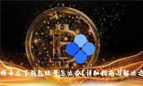 比特币忘了钱包账号怎么办？详细指南与解决方案