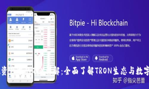 tpWallet资产中的TRX详解：全面了解TRON生态与数字货币交易