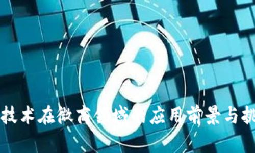 区块链技术在微商领域的应用前景与挑战分析