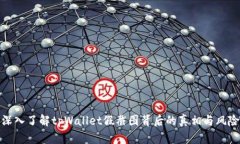 深入了解tpWallet假截图背后