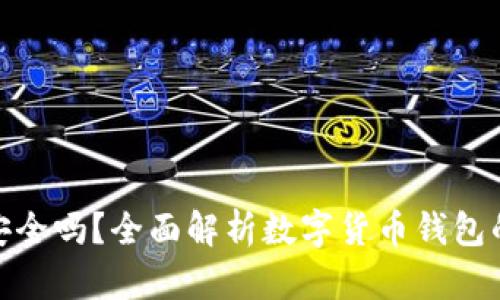 数字货币钱包安全吗？全面解析数字货币钱包的安全性与风险