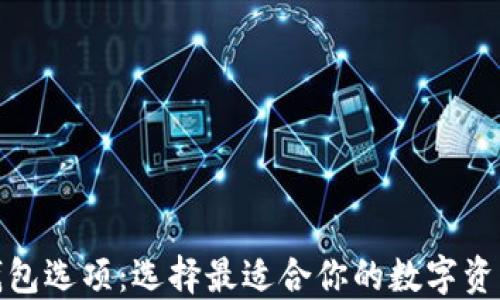
数字货币钱包选项：选择最适合你的数字资产管理工具