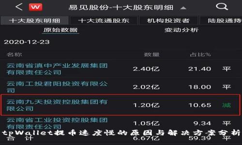 tpWallet提币速度慢的原因与解决方案分析