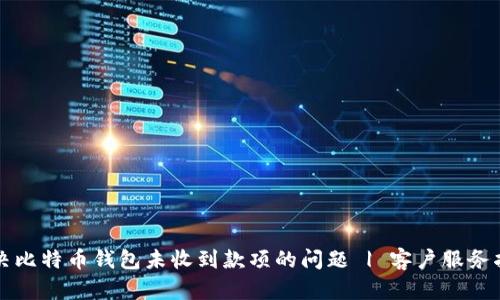 解决比特币钱包未收到款项的问题 | 客户服务指南