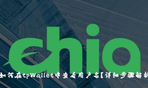 如何在tpWallet中查看用户名？详细步骤解析