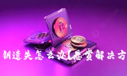 比特币钱包密钥遗失怎么办？悬赏解决方案与恢复步骤