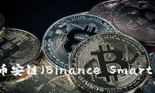 如何在tpWallet上购买币安链（Binance Smart Chain）代币的详细指南