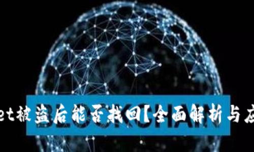 tpWallet被盗后能否找回？全面解析与应对策略