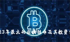 2023年最火的区块链币及其