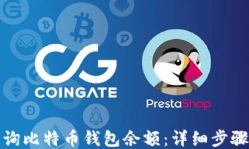 
如何查询比特币钱包余额：详细步骤与技巧