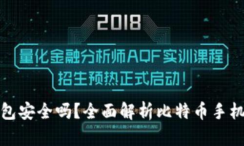 比特币手机钱包安全吗？全面解析比特币手机钱包的安全性