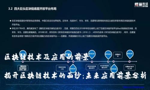 区块链技术及应用的前景

揭开区块链技术的面纱：未来应用前景分析