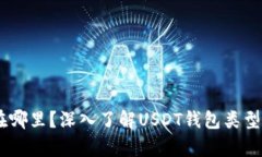 USDT存在哪里？深入了解USDT钱包类型及其优势