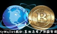 tpWallet揭秘：真相与用户体