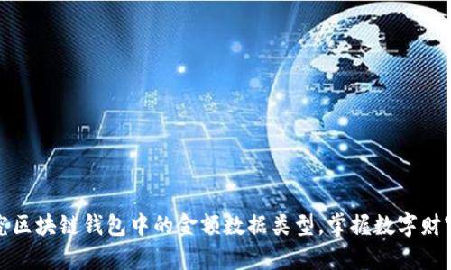 深入探究区块链钱包中的金额数据类型，掌握数字财富的密码
