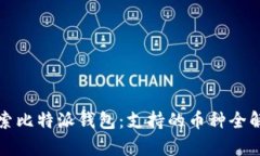 探索比特派钱包：支持的