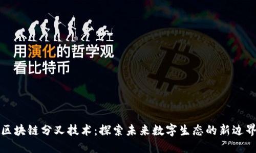 区块链分叉技术：探索未来数字生态的新边界