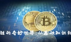探索区块链的奇妙世界：