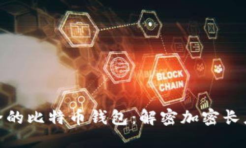 : 选择安全的比特币钱包：解密加密长度的重要性