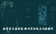 数字货币在韩国：搬砖新