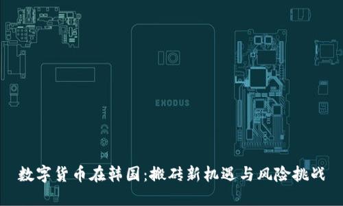数字货币在韩国：搬砖新机遇与风险挑战