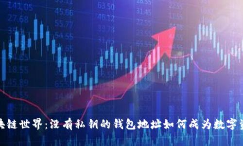 探究区块链世界：没有私钥的钱包地址如何成为数字资产新宠