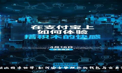 解锁比特币世界：如何安全管理你的钱包与交易记录