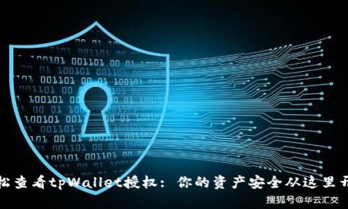 轻松查看tpWallet授权: 你的资产安全从这里开始