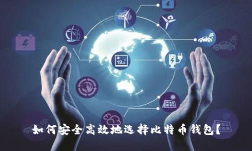 如何安全高效地选择比特币钱包？