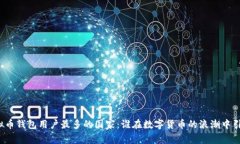全球虚拟币钱包用户最多