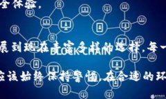 比特币钱包的历史发展涉