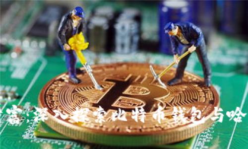 掌握你的财富：深入探索比特币钱包与哈希码的奥秘
