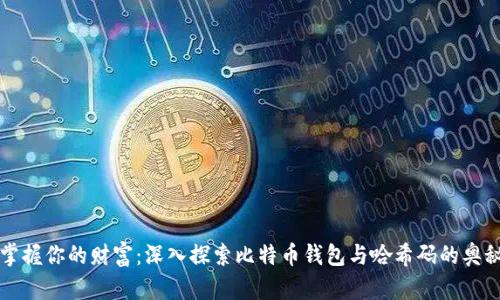 掌握你的财富：深入探索比特币钱包与哈希码的奥秘
