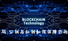 掌握区块链密码：公钥与