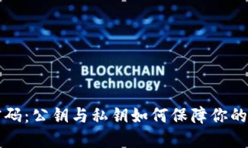 掌握区块链密码：公钥与私钥如何保障你的数字资产安全