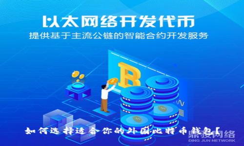 如何选择适合你的外国比特币钱包？