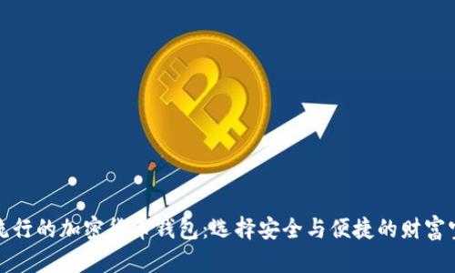 最流行的加密货币钱包：选择安全与便捷的财富宝藏