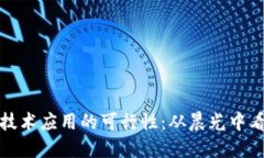 深入探讨区块链技术应用