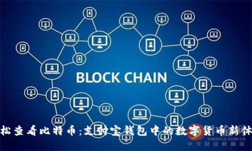 轻松查看比特币：支付宝钱包中的数字货币新体验