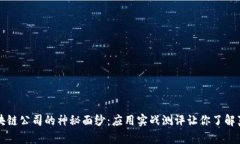 揭开区块链公司的神秘面