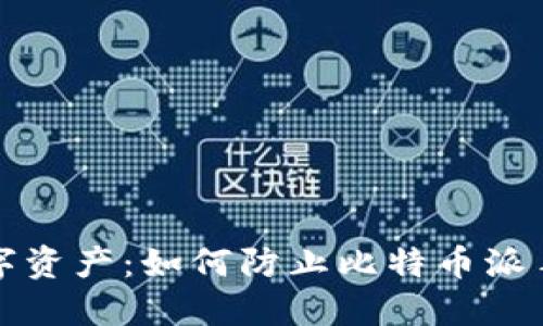 保护你的数字资产：如何防止比特币派手机钱包被盗
