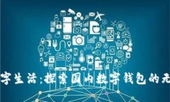 畅享数字生活：探索国内