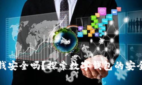 tpWallet里的钱安全吗？探索数字钱包的安全性与保护措施
