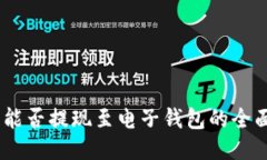 屎币：能否提现至电子钱